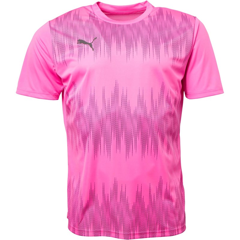 Puma Maillot FtblNXT dryCELL Homme Rose