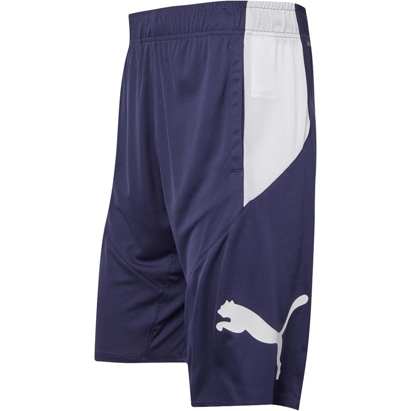 Buy Puma Mens Cat Shorts Peacoat/Puma White