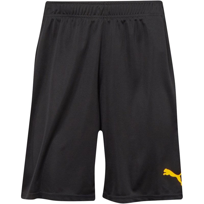 puma blast 2 in 1 shorts