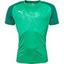 Puma Mens Cup Training Jersey Core Pepper Green/White