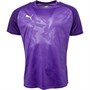 Puma Mens Cup Training Jersey Core Prism Violet/White