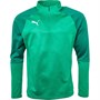 Puma Męskie Cup Top z Dlugim Rekawem Zielony