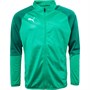 Puma Veste Cup Homme Vert
