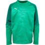 Puma Junior Cup Training Sweat Core Pepper Green/White