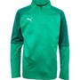 Puma Junior Cup Training 1/4 Zip Top Pepper Green/White
