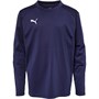 Puma Jongens Liga Voetbalshirts Blauw