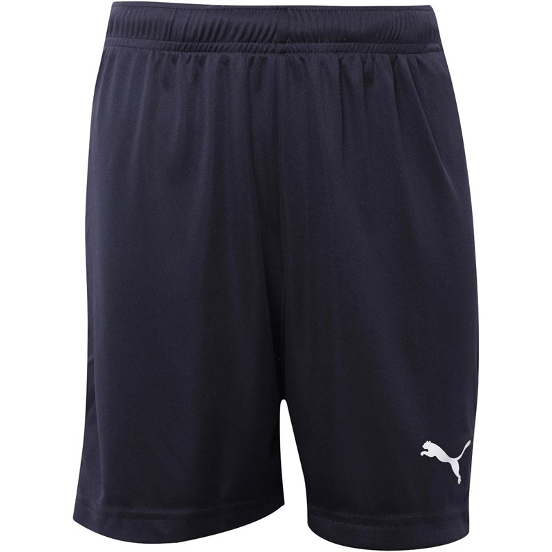puma shorts uk