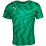 Puma Mens Cup Core Match Jersey Pepper Green/Puma White