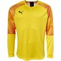 Puma Mens Cup Goalkeeper Match Jersey Cyber Yellow/Puma Black