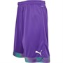 Puma Herren Cup Match Fußball Shorts Lila