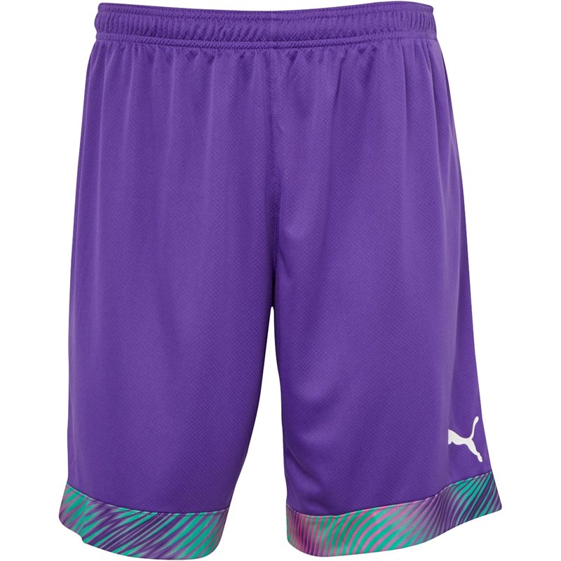 Puma Herren Cup Match Fußball Shorts Lila