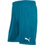 Puma Short de Foot teamFINAL 21 Match Short Homme Bleu
