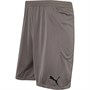 Puma Short de Foot teamFINAL 21 Match Short Homme Gris