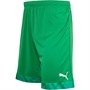 Puma Heren Cup Match Voetbalshort Groen