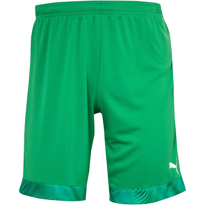 Puma Heren Cup Match Voetbalshort Groen
