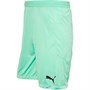 Puma Heren teamFINAL 21 Match Short Voetbalshort Groen