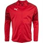 Puma Męskie Cup Sideline Kurtka Outdoorowa Czerwony