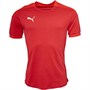 Puma Mens Teamfinal 21 Sideline Tee Chilli Pepper/Puma White