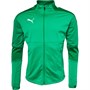 Puma Mens teamFINAL 21 Training Jacket Pepper Green/Puma White