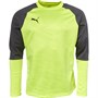 Puma Mens Cup Training Sweat Fizzy Yellow/Asphalt