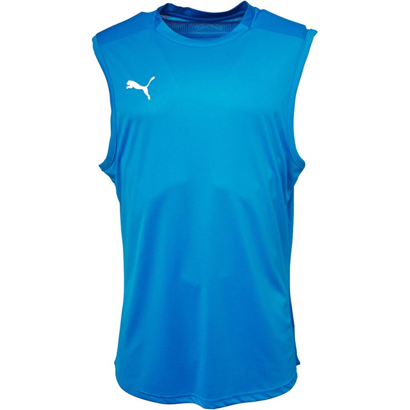 Puma Herren teamFINAL 21 Fußball Trikot Blau