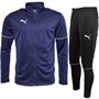 Puma Heren Teamgoal Trainingspakken Blauw