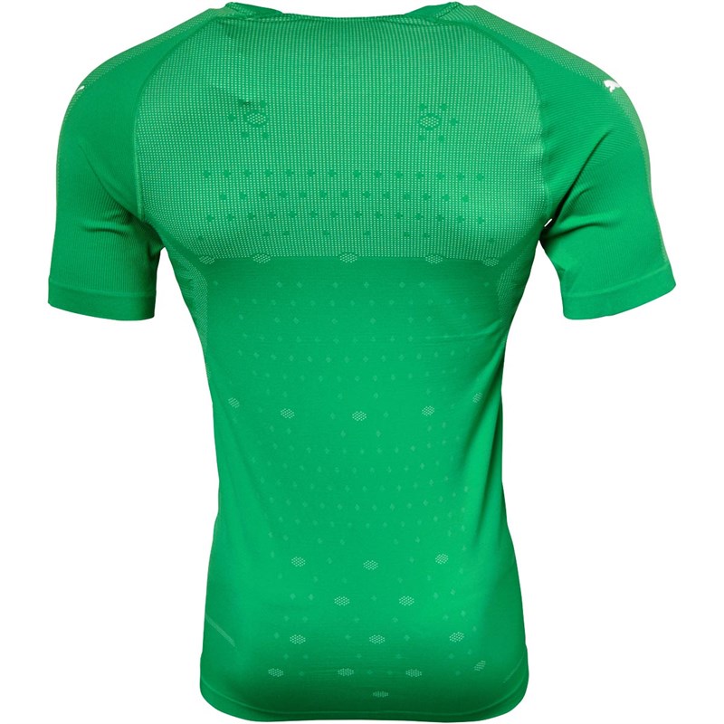 Buy Puma Mens Final evoKNIT Goalkeeper Match Jersey Bright Green/Puma White