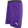 Puma Mens Final evoKNIT Goalkeeper Match Shorts Prism Purple/Puma White