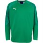 Puma Junior Cup Goalkeeper Match Jersey Bright Green