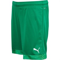 Puma Junior Cup Match Shorts Pepper Green/Puma White