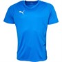 Puma Mens Liga Core Match Jersey Electric Blue