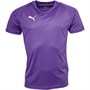 Puma Mens Liga Core Match Jersey Prism Purple/Puma White