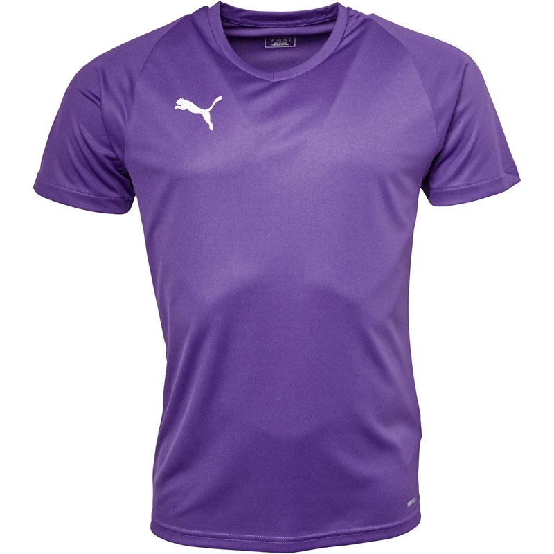 Puma Maillot de Foot Liga Core Match Homme Violet