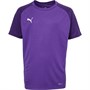 Puma Junior Cup Sideline Tee Prism Violet/Puma White