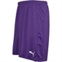 Puma Herren Liga Core Match Fußball Shorts Lila