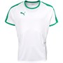 Puma Maillot de Foot Liga Match Homme Vert