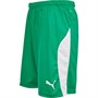 Puma Mens Liga Match Shorts Pepper Green/Puma White