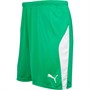 Puma Mens Liga Match Shorts Bright Green/Puma White