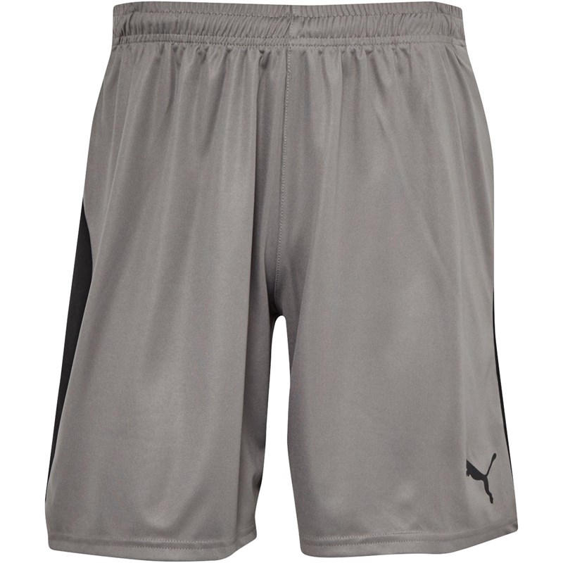 Puma Mens Liga Match Shorts Steel Grey/Puma Black