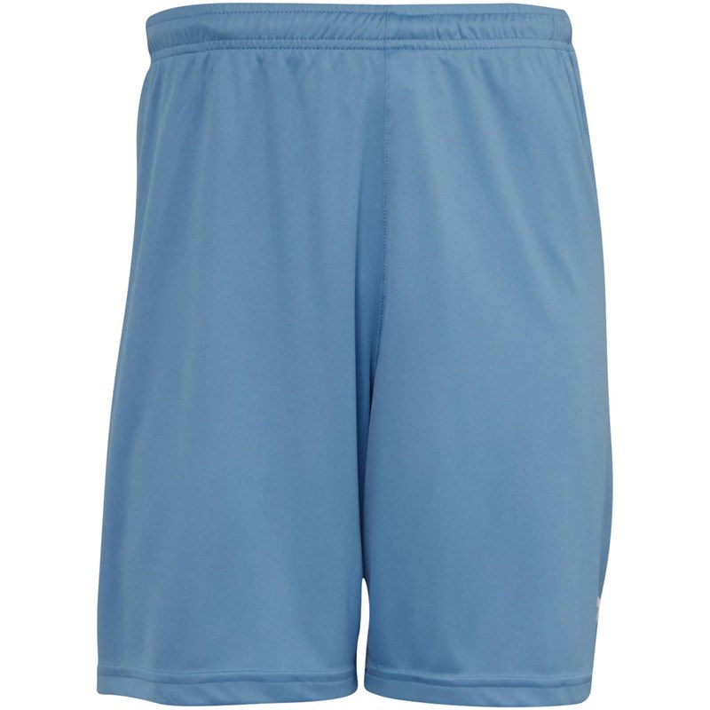 Puma Mens Liga Match Shorts Silver Lake Blue
