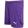 Puma Short de Foot Liga Core Match Garçon Violet