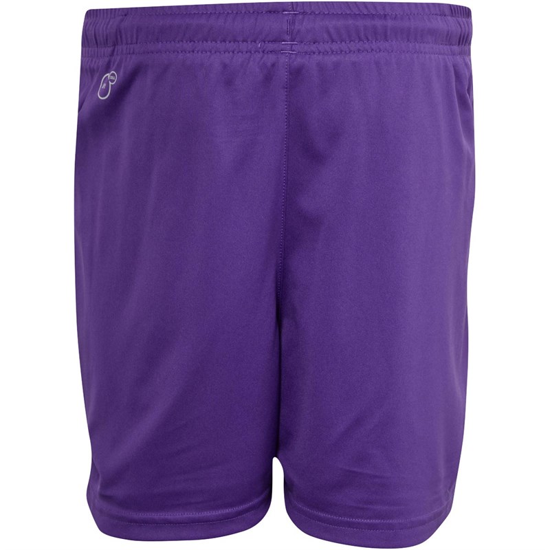 Puma Short de Foot Liga Core Match Garçon Violet