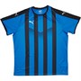Puma Męskie Liga Koszulki Futbolowe W Paski