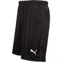 Puma Short de Foot Liga Core Homme Noir