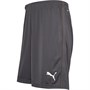 Puma Short de Foot Liga Core Homme Gris