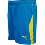 Puma Jungen Liga Match Fußball Shorts Blau