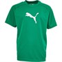 Puma Junior Sideline T-Shirt Pepper Green/Puma White