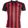 Puma Herrer ACM AC Milan Home No Sponsor Fodboldtrøjer Rød