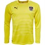 Puma Mens Austria Goalkeeper Jersey Cyber Yellow