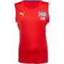 Puma Haut d'Entraînement à Manches Courtes Cuba Volleyball Femme Rouge